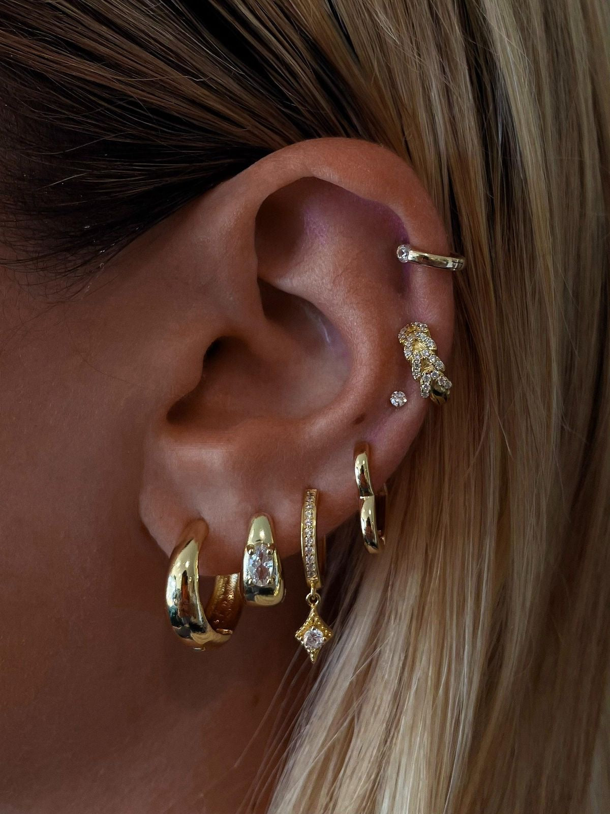 Earrings